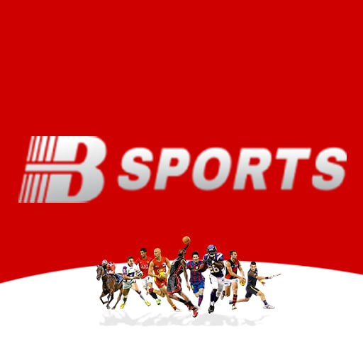 B体育·(sports)官方网站